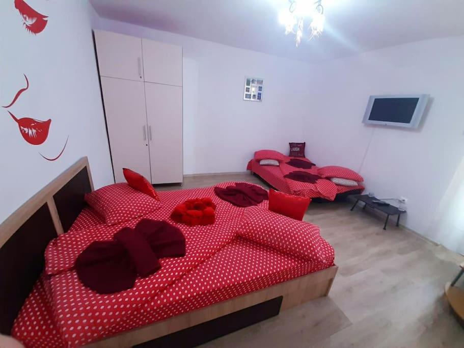 Centru Apartment *